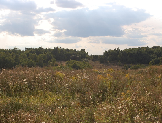 Gorzów Wielkopolski, Os. Europejskie - 850000 zł (nr 364/2301/ODS)