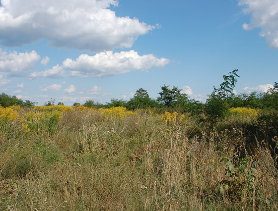 Wawrów - 153540 zł (nr 395/2301/OGS)