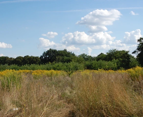 Działka na sprzedaż, Wawrów - 153 540 zł