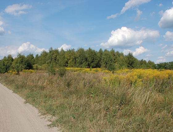 Działka na sprzedaż, Wawrów - 217 800 zł