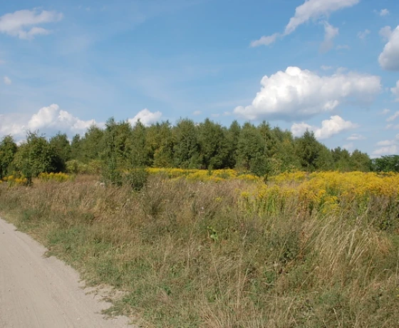Działka na sprzedaż, Wawrów - 217 800 zł