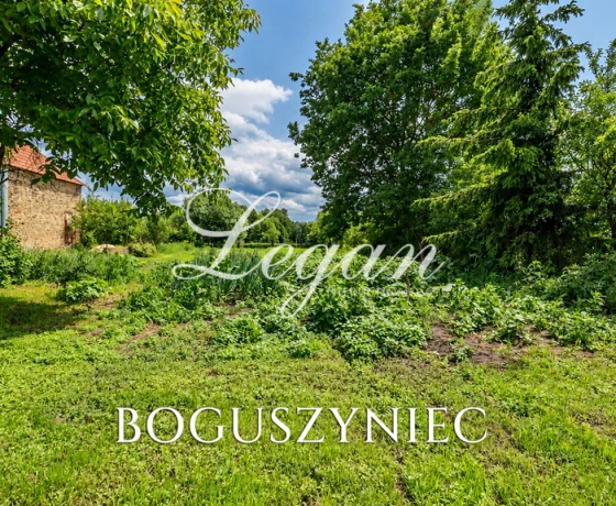 Boguszyniec - 649000 zł (nr 476/2181/ODS)
