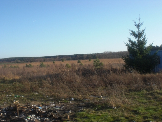Pniów - 1600000 zł (nr 486/2301/OGS)