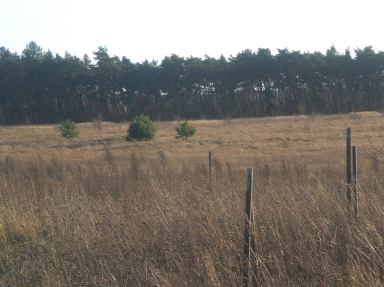 Pniów - 1600000 zł (nr 486/2301/OGS)