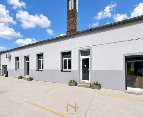 Lokal na wynajem, Gorzów Wielkopolski, Śródmieście - 3 000 zł