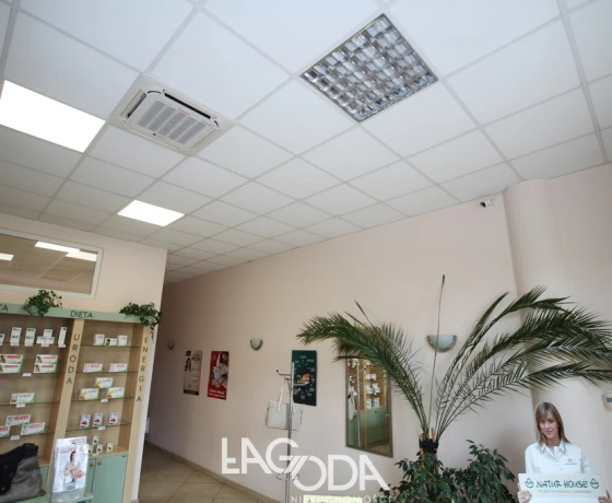 Gorzów Wielkopolski, Śródmieście - 406000 zł (nr 85/3504/OLS)