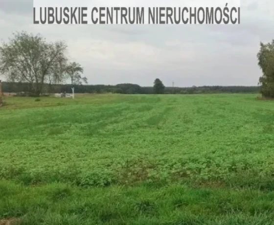 Działka na sprzedaż, Ściechów - 215 000 zł