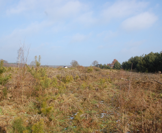Działka na sprzedaż, Santocko - 8 040 000 zł