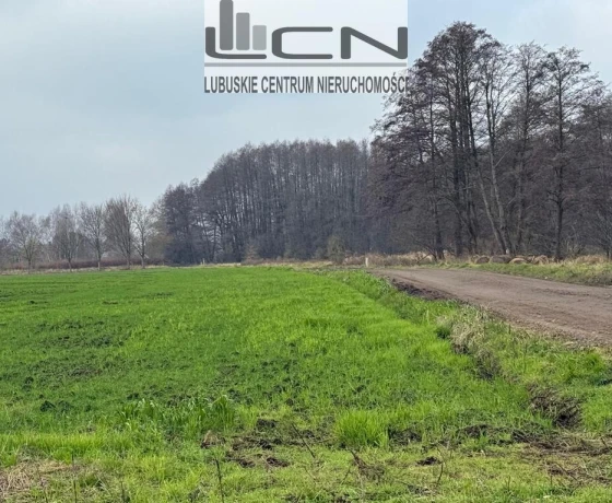 Gorzów Wielkopolski, Zieleniec - 1150000 zł (nr 295/710/OGS)