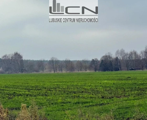Gorzów Wielkopolski, Zieleniec - 1150000 zł (nr 295/710/OGS)