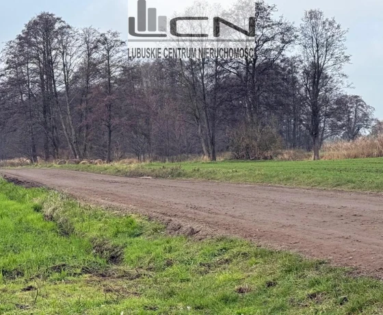 Gorzów Wielkopolski, Zieleniec - 1150000 zł (nr 295/710/OGS)