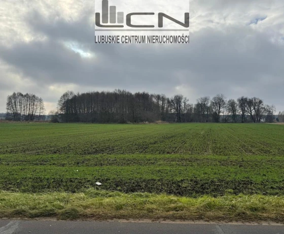Działka na sprzedaż, Gorzów Wielkopolski, Zieleniec - 158 000 zł