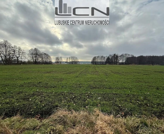Gorzów Wielkopolski, Zieleniec - 158000 zł (nr 296/710/OGS)