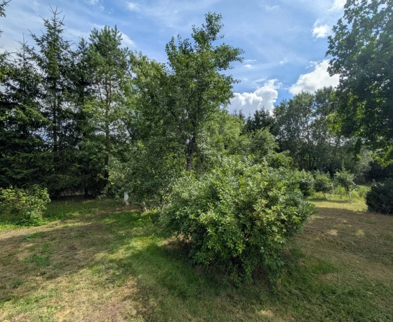 Santocko - 680000 zł (nr 812/2301/ODS)