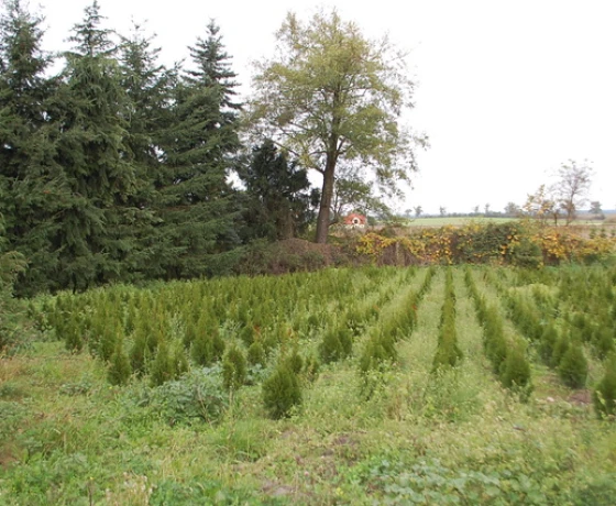 Baczyna - 1200000 zł (nr 130/2301/OOS)