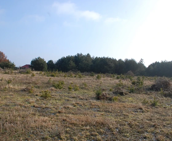 Działka na sprzedaż, Santocko - 4 520 700 zł