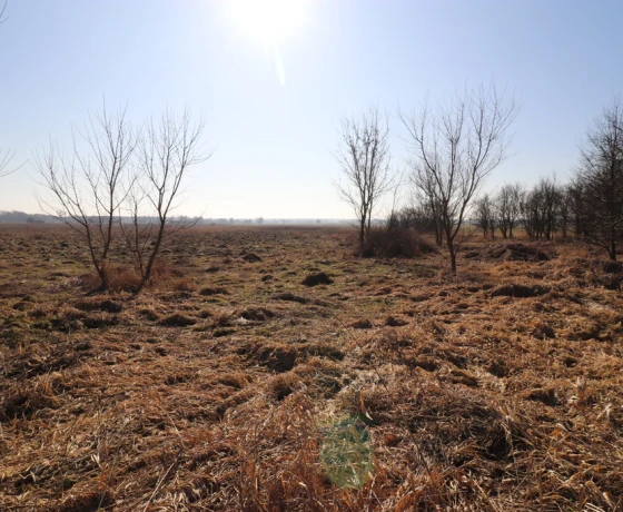 Ściechówek - 75000 zł (nr 939/2301/OGS)