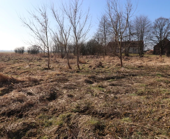 Ściechówek - 75000 zł (nr 939/2301/OGS)