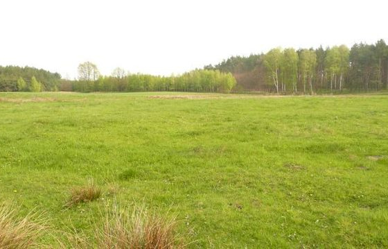 Działka na sprzedaż, Kinice - 100 000 zł