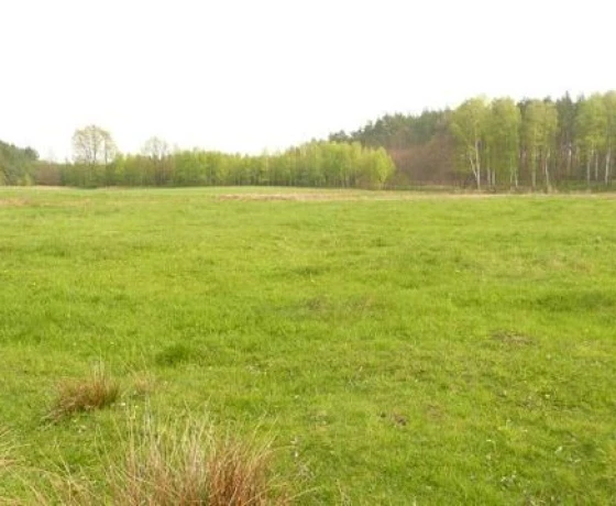 Działka na sprzedaż, Kinice - 100 000 zł