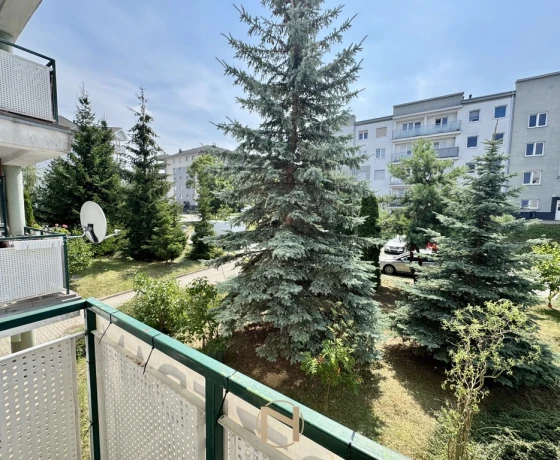 Gorzów Wielkopolski, Górczyn - 299000 zł (nr 3061/3070/OMS)