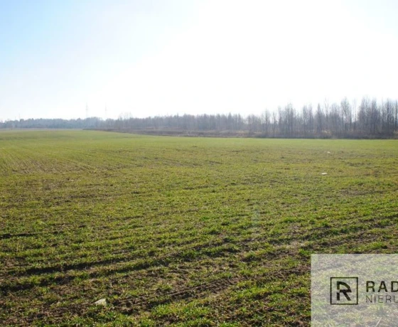 Gorzów Wielkopolski, Chróścik - 4425840 zł (nr 68/6131/OGS)