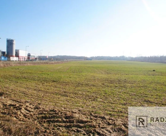 Gorzów Wielkopolski, Chróścik - 4425840 zł (nr 68/6131/OGS)