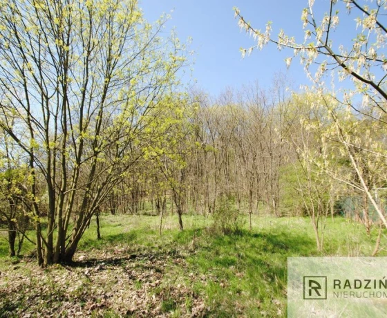 Stare Kurowo - 250000 zł (nr 147/6131/OGS)