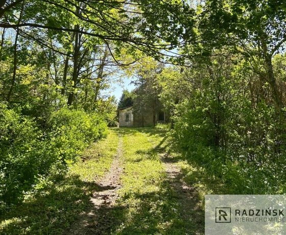 Wierzbnica - 240000 zł (nr 178/6131/ODS)