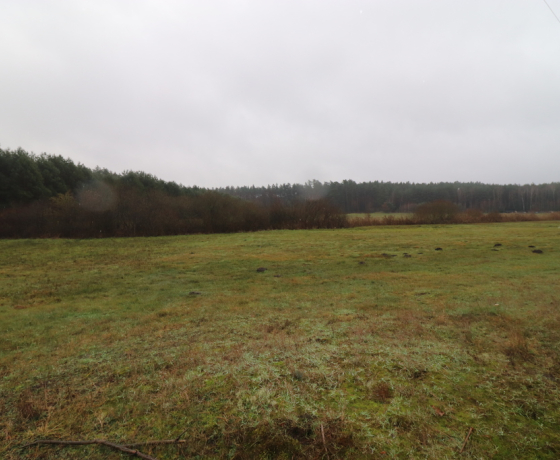 Brzeźno - 150000 zł (nr 985/2301/OGS)