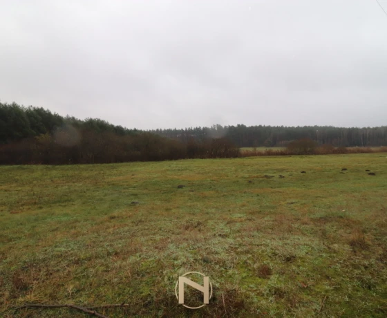 Brzeźno - 150000 zł (nr 985/2301/OGS)