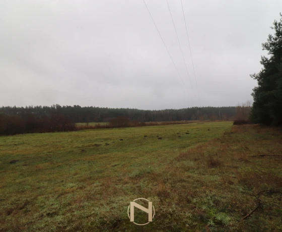Brzeźno - 150000 zł (nr 985/2301/OGS)