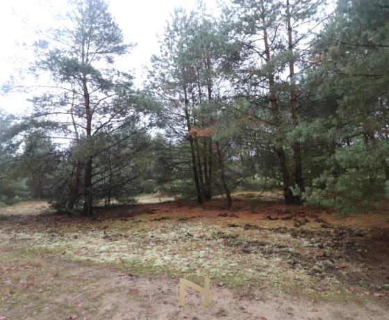 Brzeźno - 150000 zł (nr 985/2301/OGS)