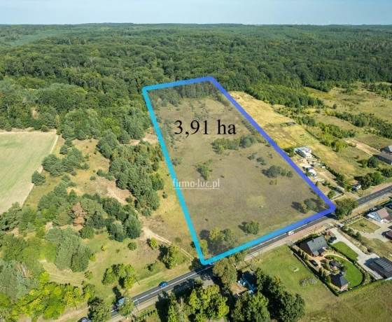 Działka na sprzedaż, Bogdaniec - 1 600 000 zł