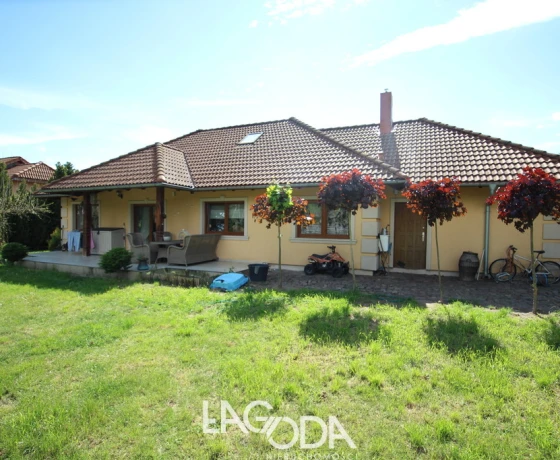 Stare Polichno - 999000 zł (nr 824/3504/ODS)