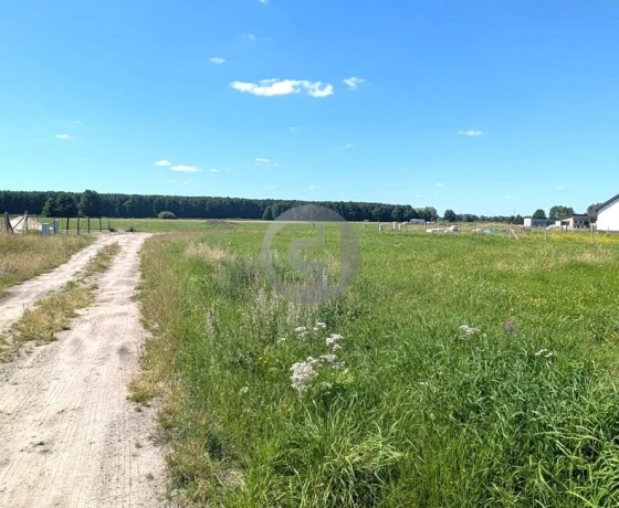 Bolemin - 70000 zł (nr 518/2287/OGS)