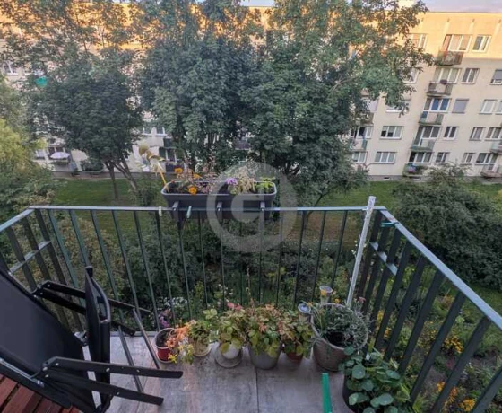 Gorzów Wielkopolski - 423000 zł (nr 1771/2287/OMS)
