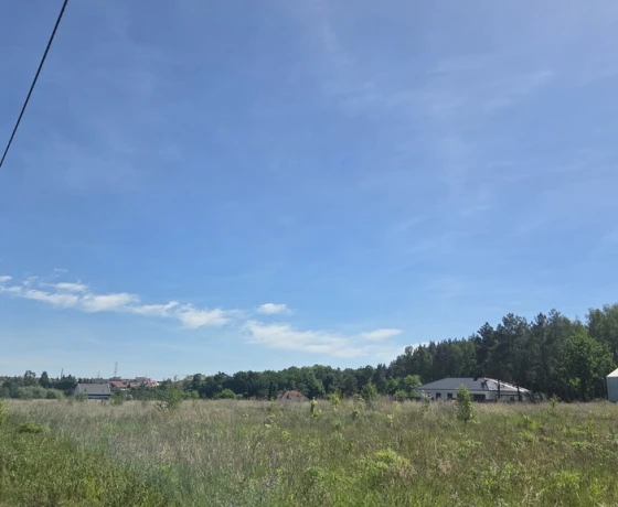 Gorzów Wielkopolski, Górczyn - 170000 zł (nr 727/8967/OGS)