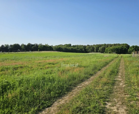 Kłodawa - 149000 zł (nr 1348/2562/OGS)