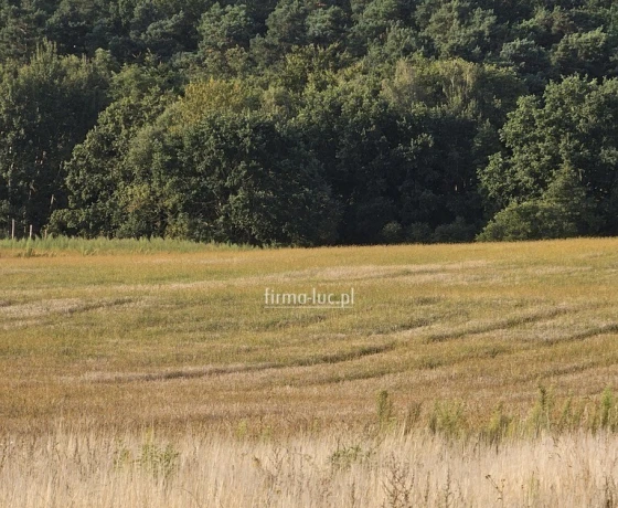 Kłodawa - 149000 zł (nr 1348/2562/OGS)