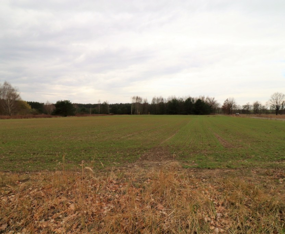 Gorzów Wielkopolski, Chróścik - 590730 zł (nr 998/2301/OGS)