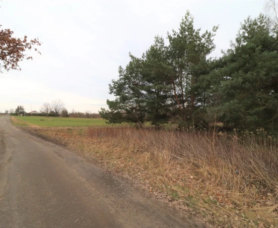 Gorzów Wielkopolski, Chróścik - 590730 zł (nr 998/2301/OGS)
