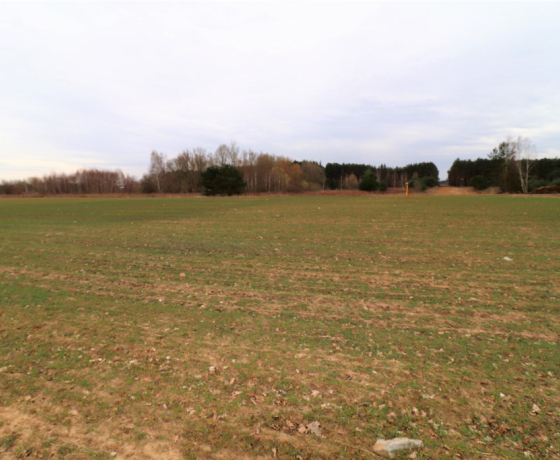 Gorzów Wielkopolski, Chróścik - 590730 zł (nr 998/2301/OGS)