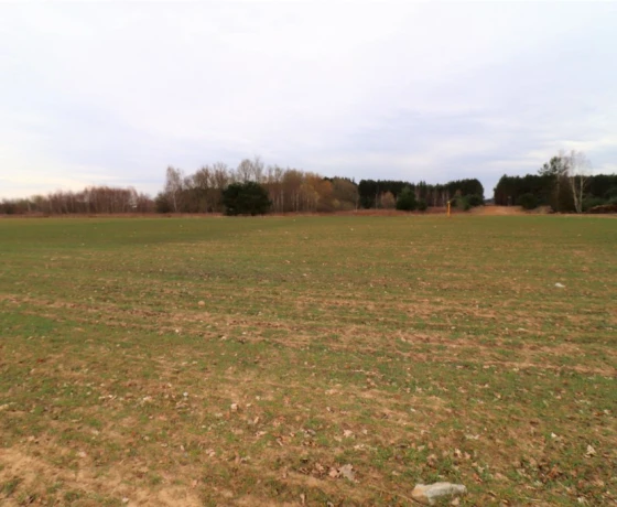 Gorzów Wielkopolski, Chróścik - 590730 zł (nr 998/2301/OGS)
