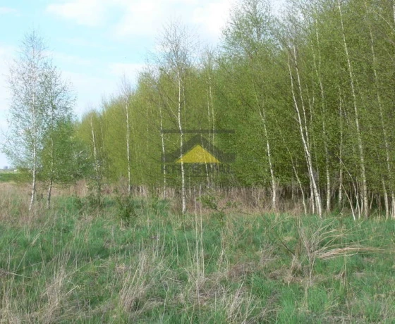 Działka na sprzedaż, Gorzów Wielkopolski, Siedlice - 86 930 zł
