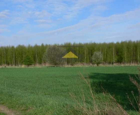 Gorzów Wielkopolski, Siedlice - 86930 zł (nr 1009/2639/OGS)