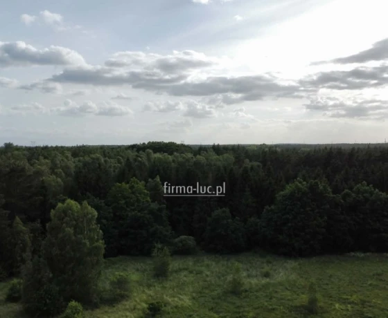 Skwierzyna, Poziomkowa - 311610 zł (nr 1355/2562/OGS)