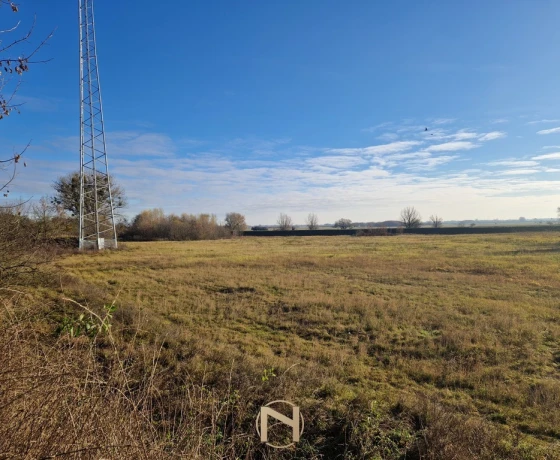 Gorzów Wielkopolski, Wieprzyce - 1700000 zł (nr 1019/2301/OGS)