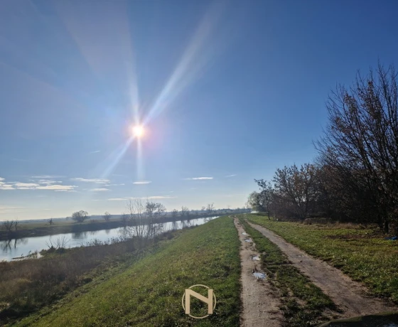 Gorzów Wielkopolski, Wieprzyce - 1700000 zł (nr 1019/2301/OGS)
