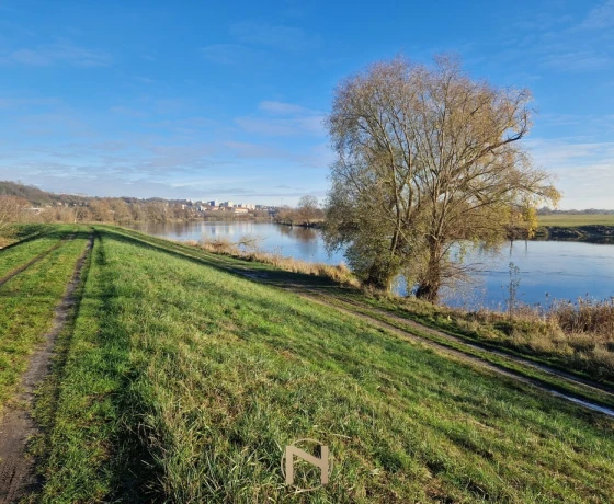 Gorzów Wielkopolski, Wieprzyce - 1700000 zł (nr 1019/2301/OGS)